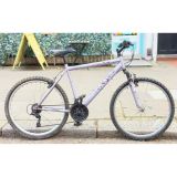 Apollo Jewel Mountain Bike